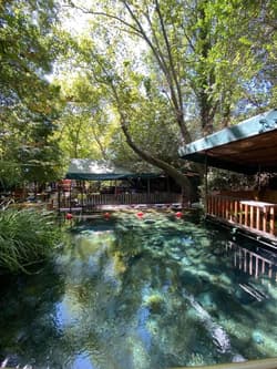 Yuvarlakcay Cinar Butik Otel