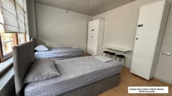 Hostelida