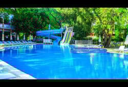 Festival Nature Hotel