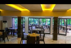 Festival Nature Hotel