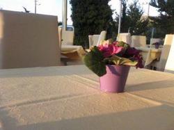 Hotel Kale Palas