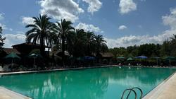 Antalya Orfe