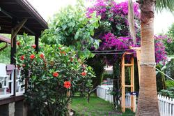 Villa Zeytin