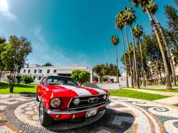 74 Otel & Museum