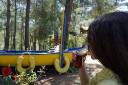 Olympos Mitolojik Tanrilar Kulubu