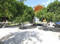 Orange Garden Bungalow