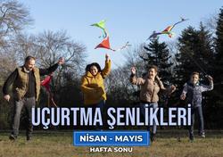 Alis Harikalar Diyarı