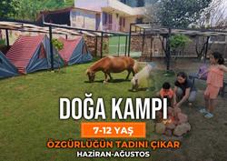 Alis Harikalar Diyarı