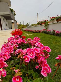 Sardunya Apart Otel