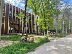 Longosphere Glamping