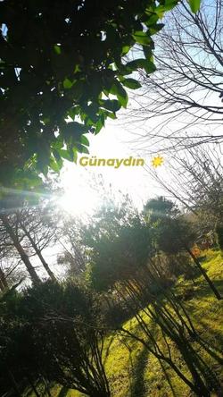 Yener Bungalov