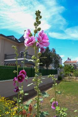 Palmera Beach Hotel