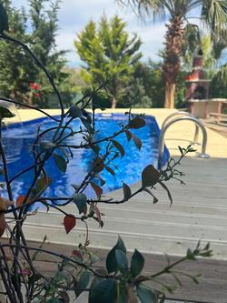 Rentavill Villaları
