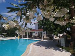 Club Mel Holiday Dalyan