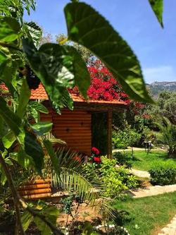 Boheme Ahşap Evleri