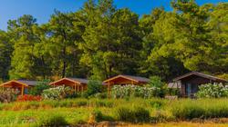 Blue Green Life Bungalow