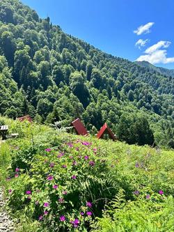 Ayder Villa Gencal