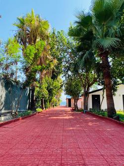 Anessa Beach Hotel