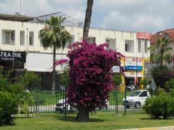 Odessa Otel