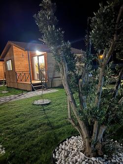 Legend Bungalow