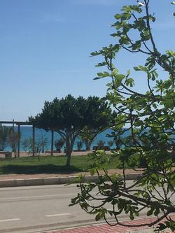 Rota Bungalov