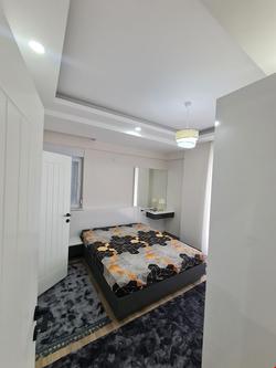 Consept Decor Daire