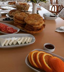 Delfin Otel