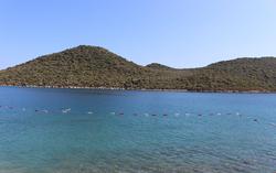 Olympos Mocamp