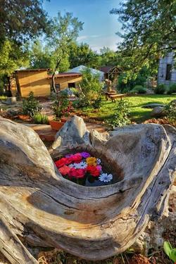 Oread Garden