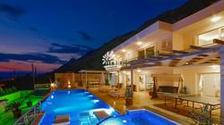 Villa Tiger