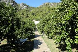Merhaba Hotel Bungalows Çirali