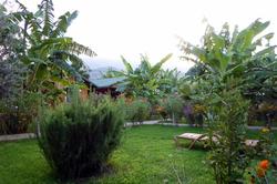 Estelar Bungalow