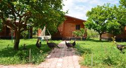 Lemon Garden Lodge
