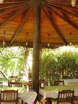 Myland Nature