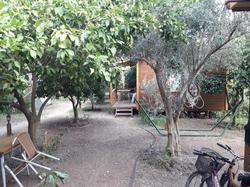 Villa Halil Bungalow