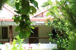 Villa Zeytin