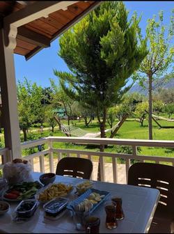 Şah Apart
