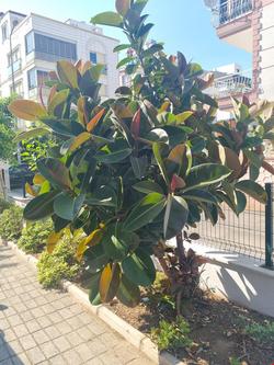 Kartalkaya Apart Otel