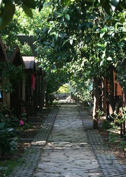 Ayışığı Pansiyon