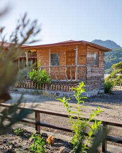 Kadirs Eco Life
