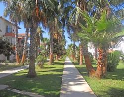 Palmiye Tatil Sitesi