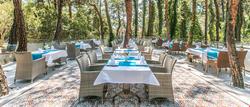 Pine Club Boutique Hotel & Spa