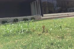 Irmak Park Otel