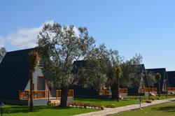 Verde Blu Bungalow