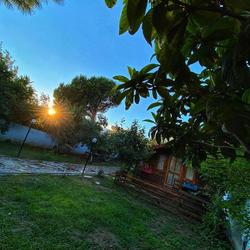 Zeytin Dagi Bungalow
