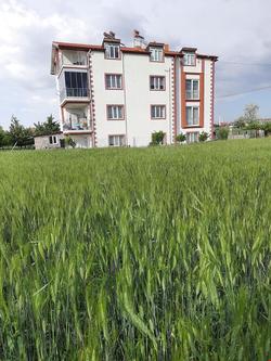 Salda Apart Pansiyon