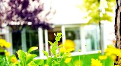 Green House Konak Otel