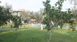 Assos Oleas Hotel