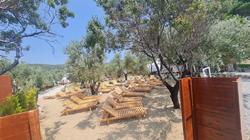 Elysia Glamping
