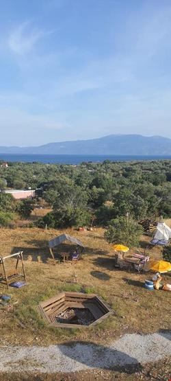 Mavi Kuş